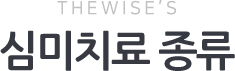THE WISE'S 심미치료 종류