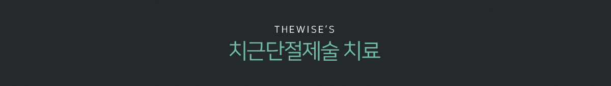 THEWISE’S 치근단절제술 치료